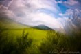 /album/gallery-half-second/pul-vteriny-web2-jpg2/